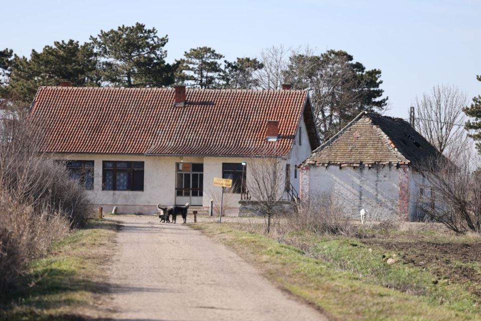 Imanje Dragana Tikića.jpg