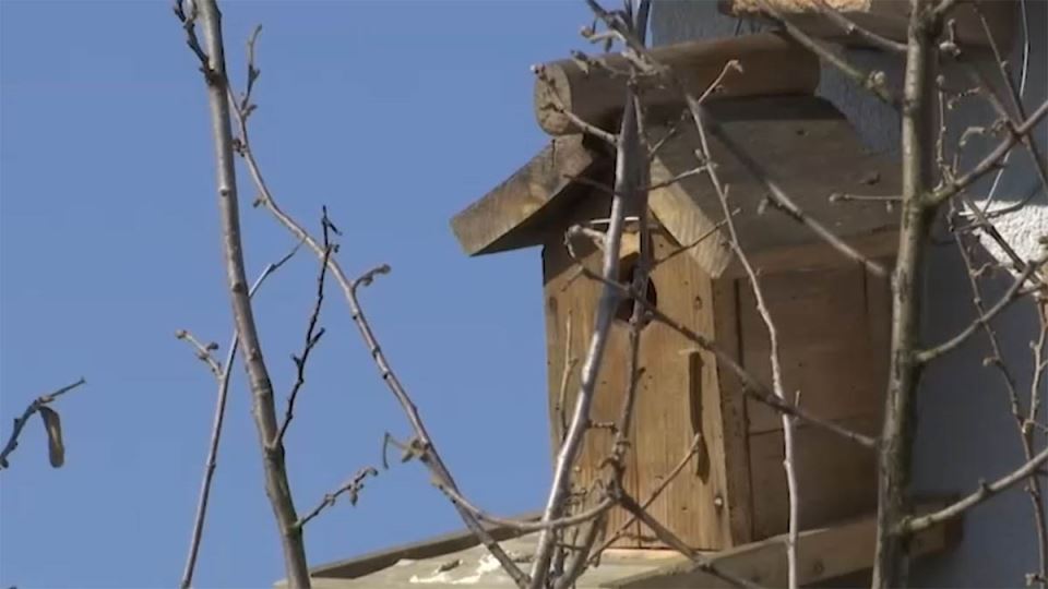 Screenshot 2025-02-24 185814 copy.jpg