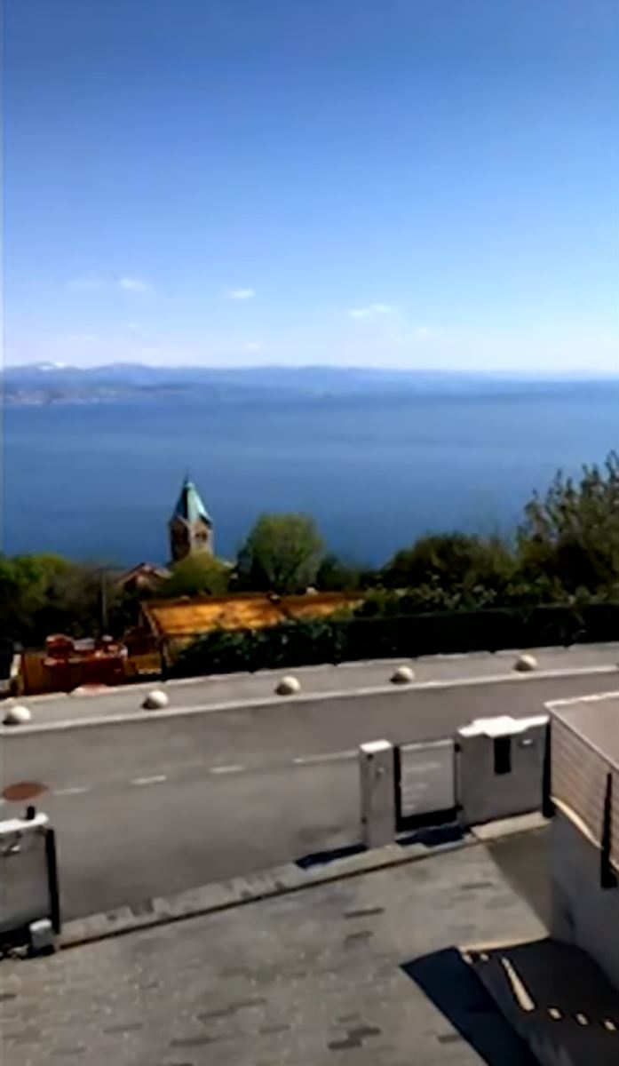 Saša Popović  (5).jpg