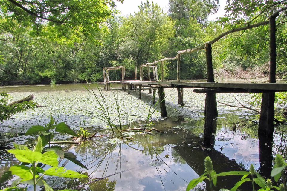 Carska Bara (1).jpg