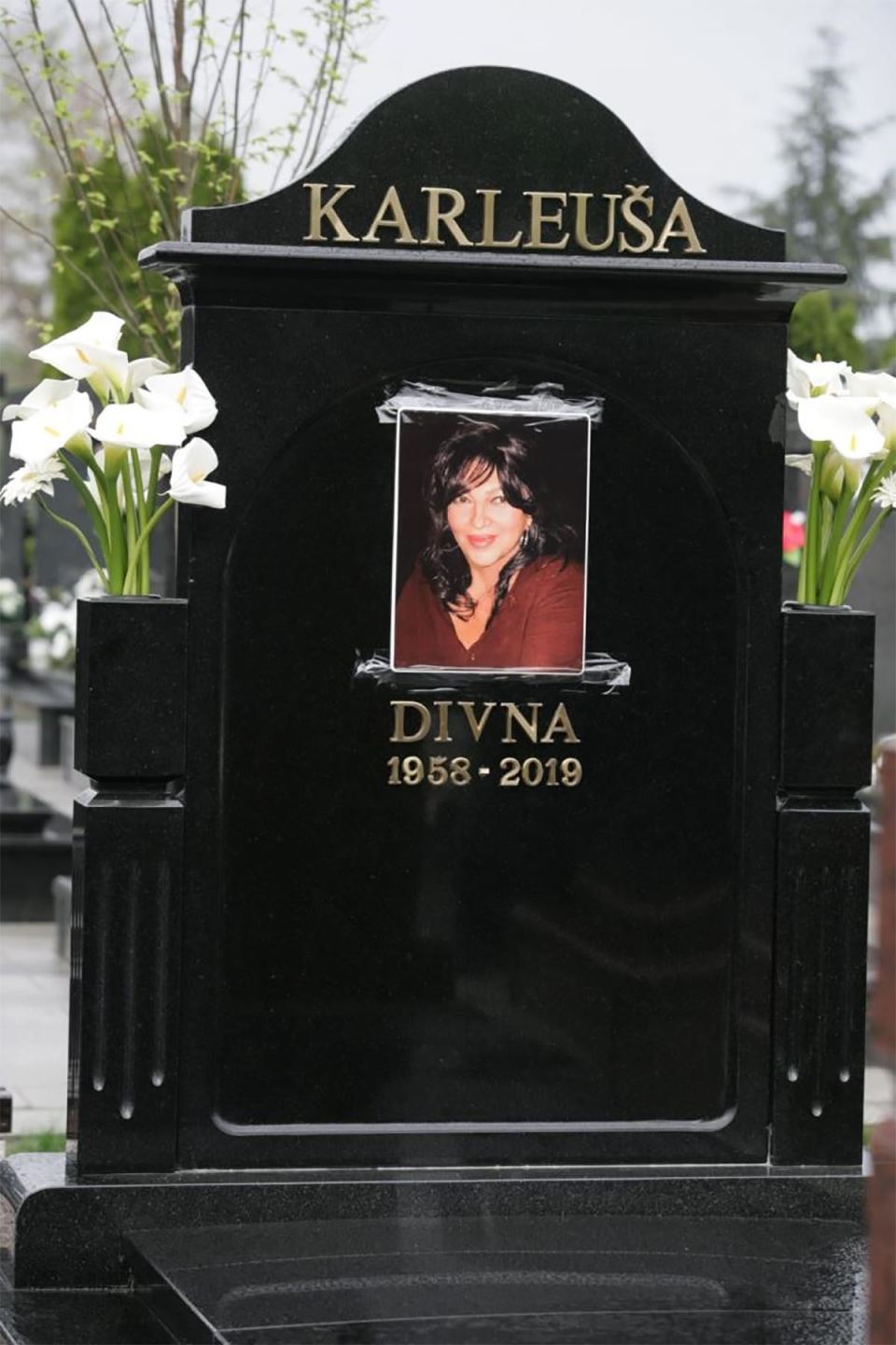 Mikica Gačić (2).jpg