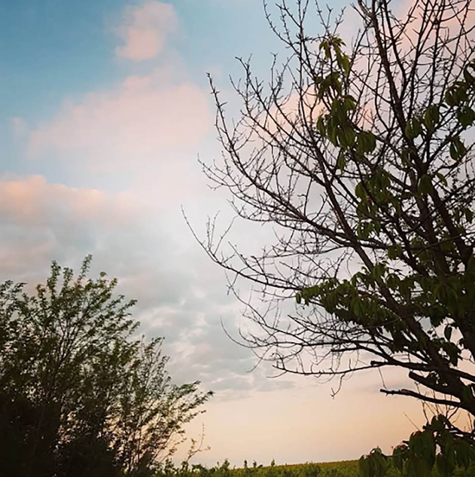 Jelena Bačić Alimpić