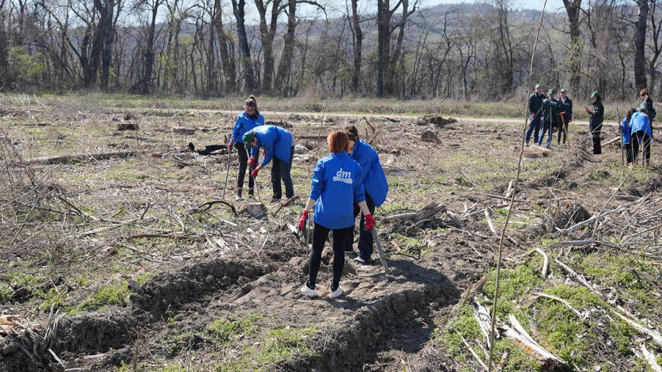 250321 Mladen Nikolic (281) copy.jpg