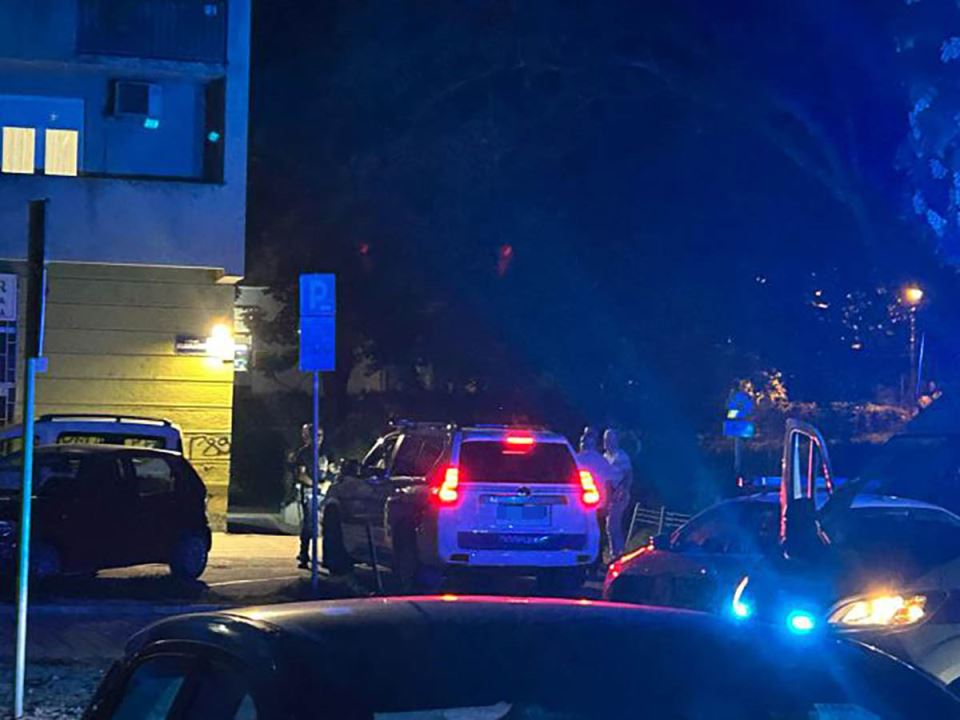 ubistvo, žena, novi sad, policija