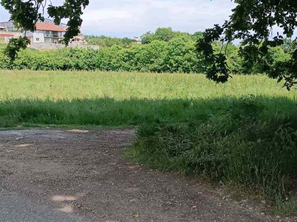 Ubistvo žene u Kragujevcu