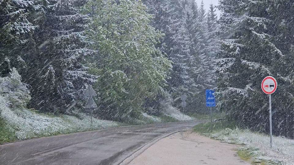 prijepolje-sneg-maj-jabuka (1).jpg