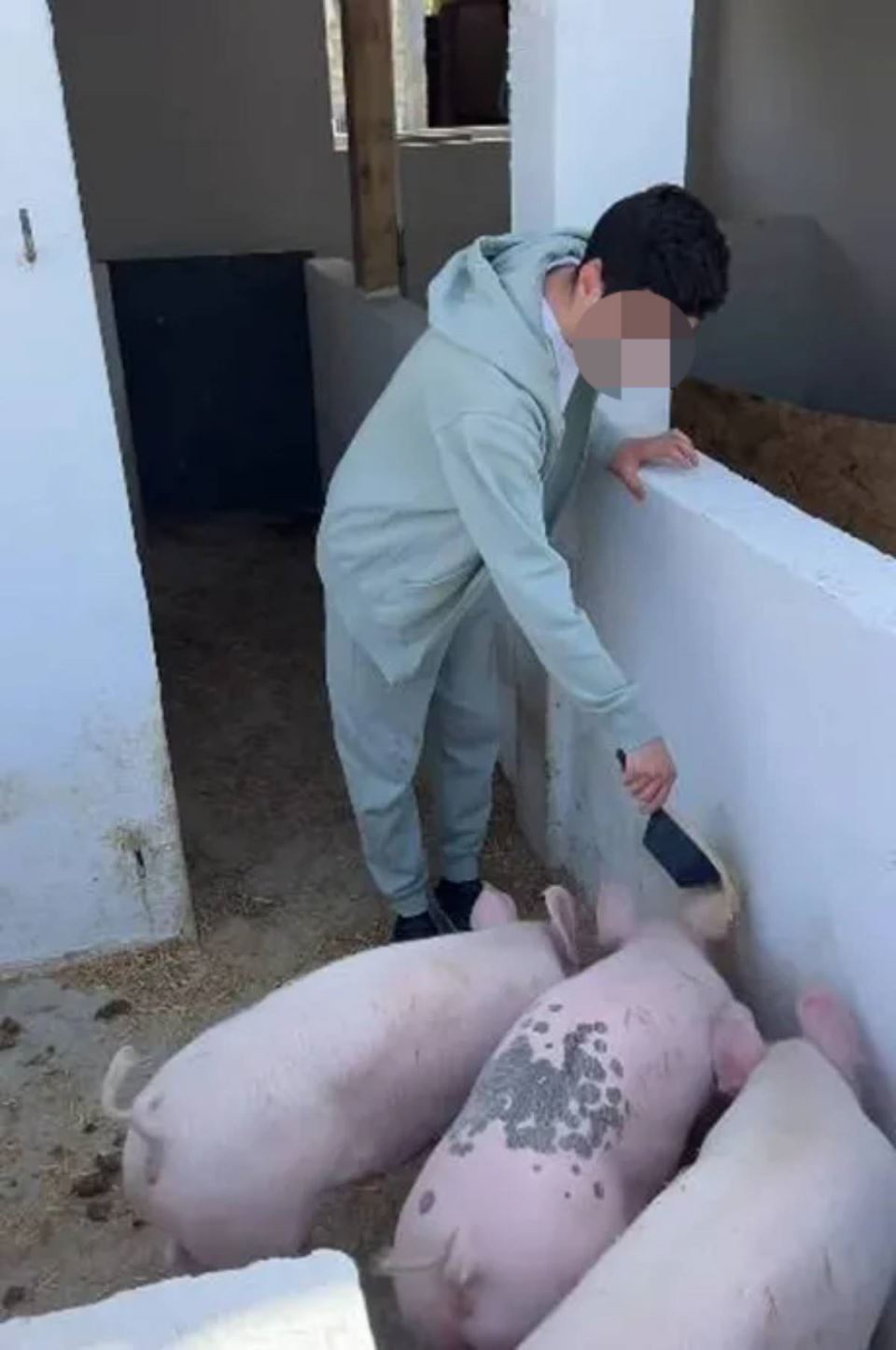 Branko Babić sestrić