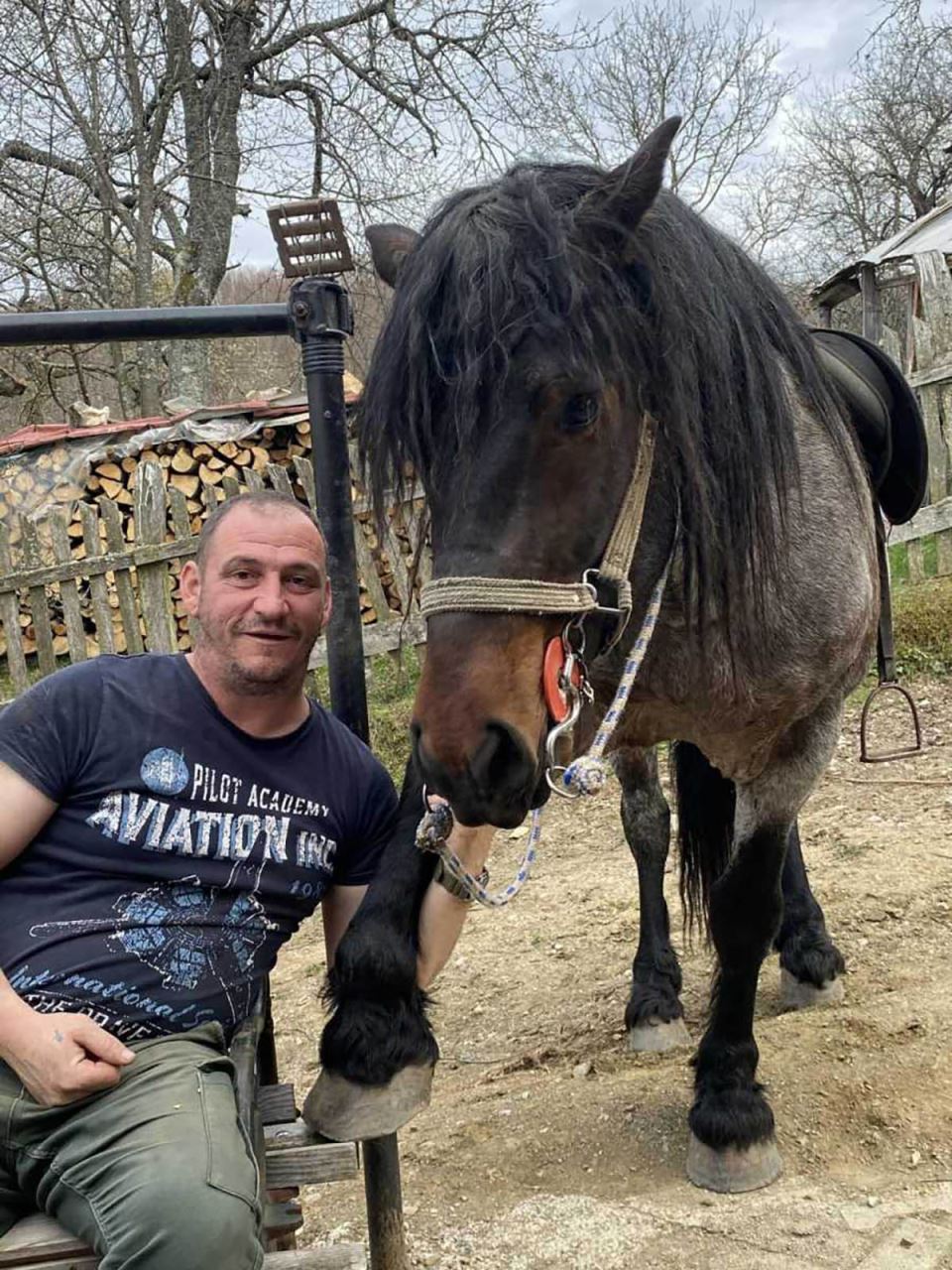 ubistvo konja na zlatiboru (1).jpg