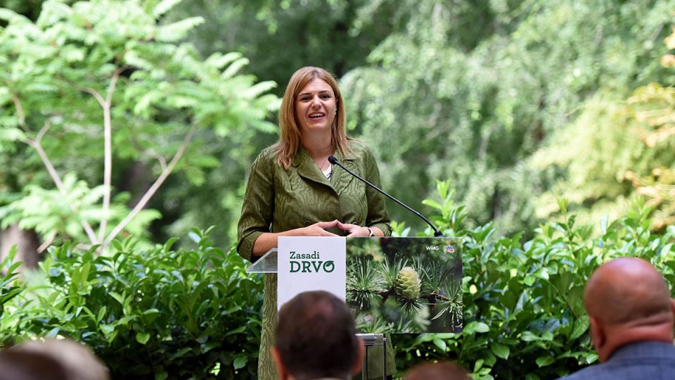 Ana Aleksić copy.jpg