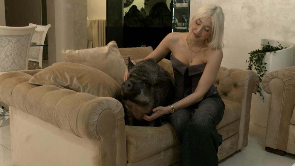 devojka iz Beograda živi sa svinjom 9.jpg