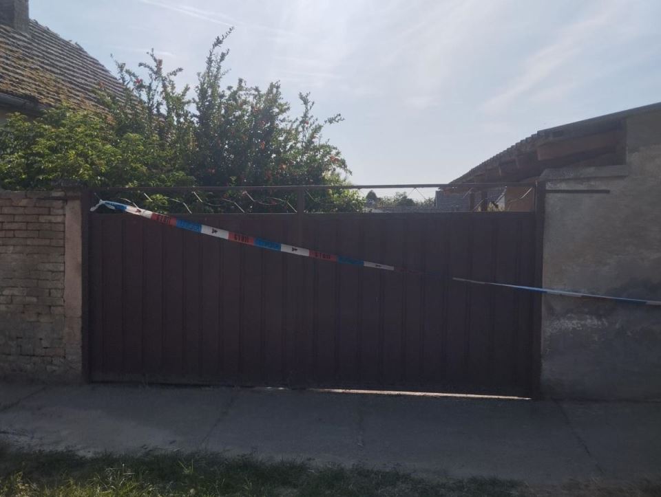 Ubistvo u Bečeju  (2).jpeg