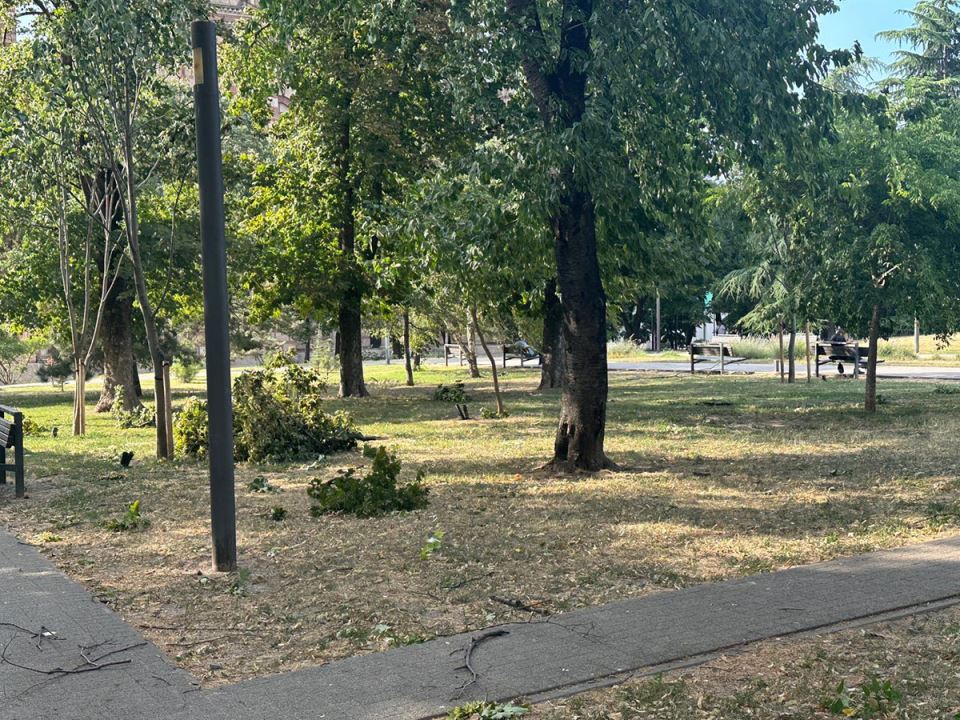 Nevreme u Beogradu (1).jpg