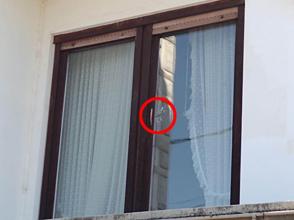 Aleksa Milojević (1).jpg