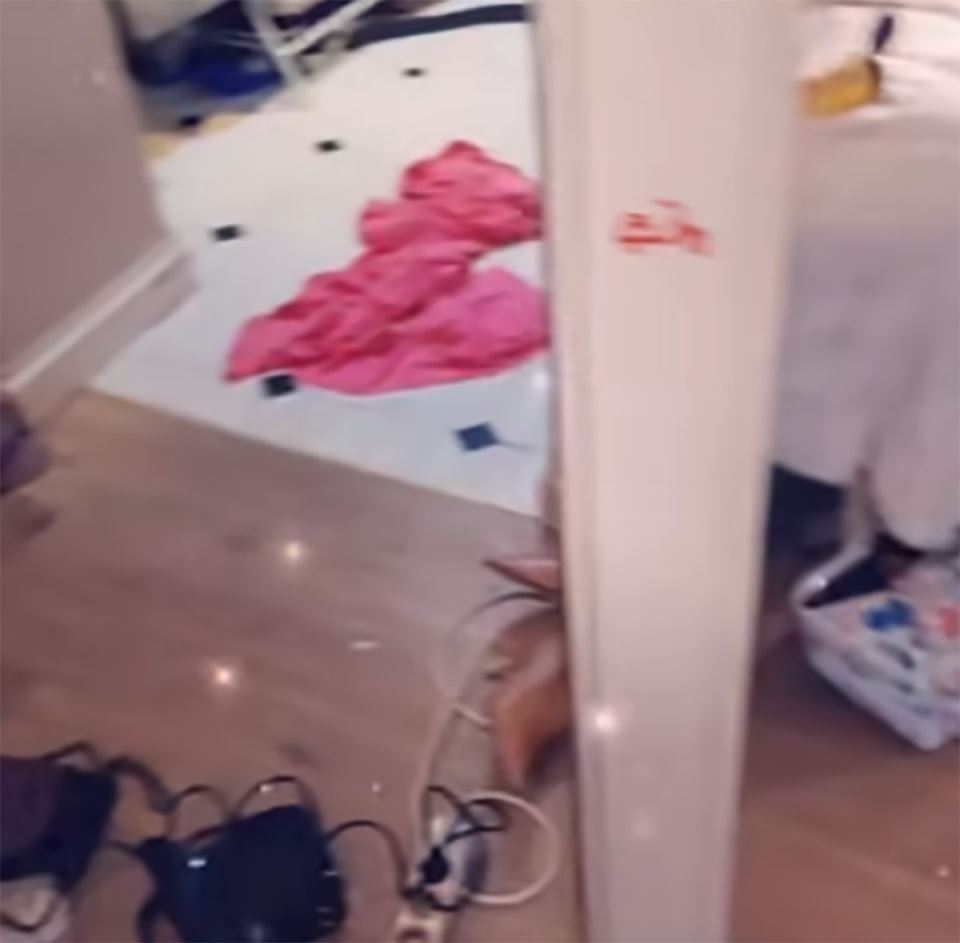 Stan Ane Nikolić (3).jpg