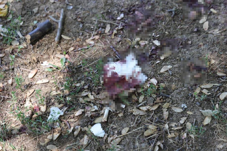 napad na tinejdžera (7).jpg