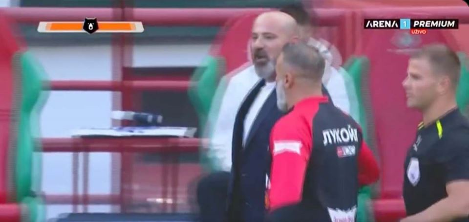 Deki Stanković 1.jpg