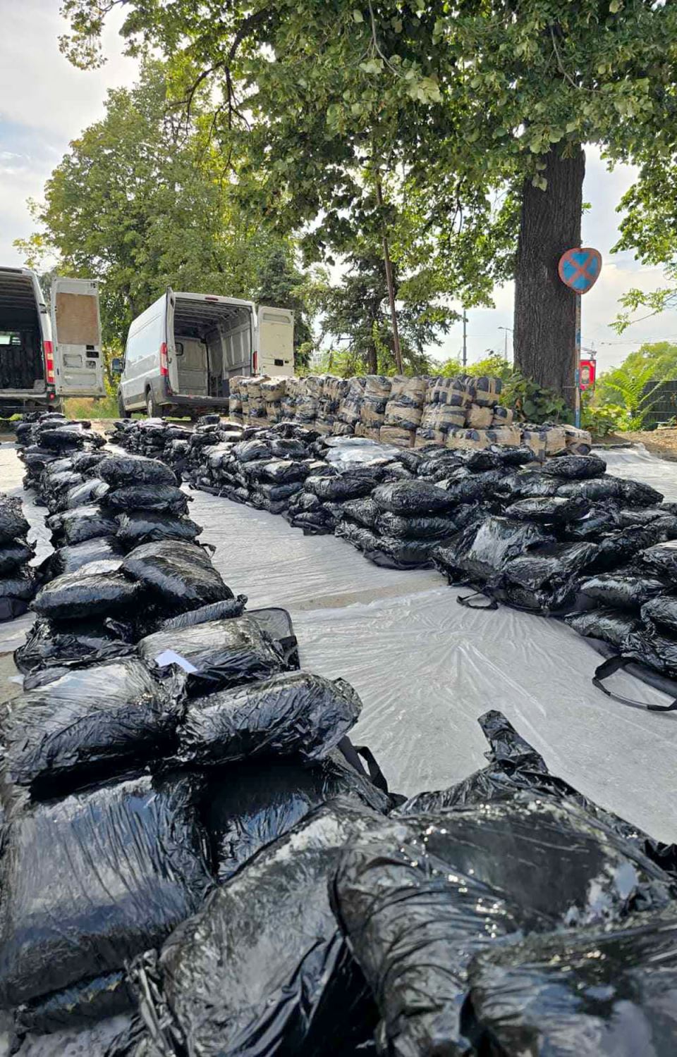 Zaplena marihuane (1).jpg