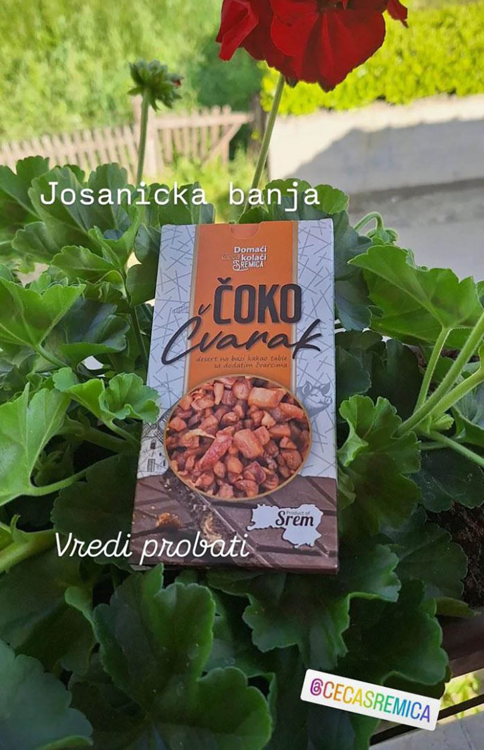 Čokolada sa čvarcima (1).jpg