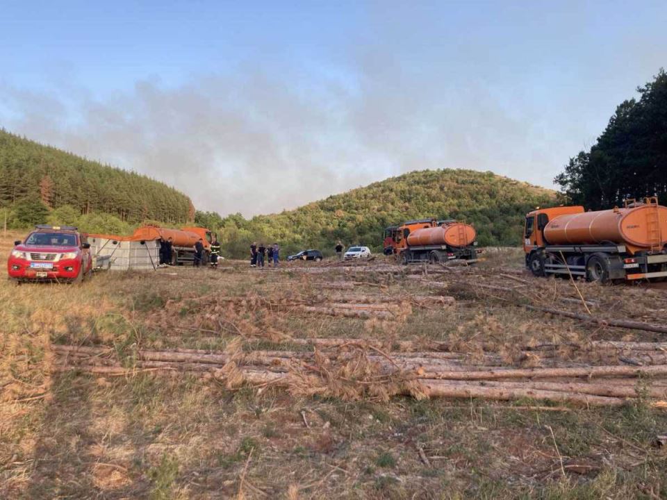 Veliki požar kod Niša (1).jpg