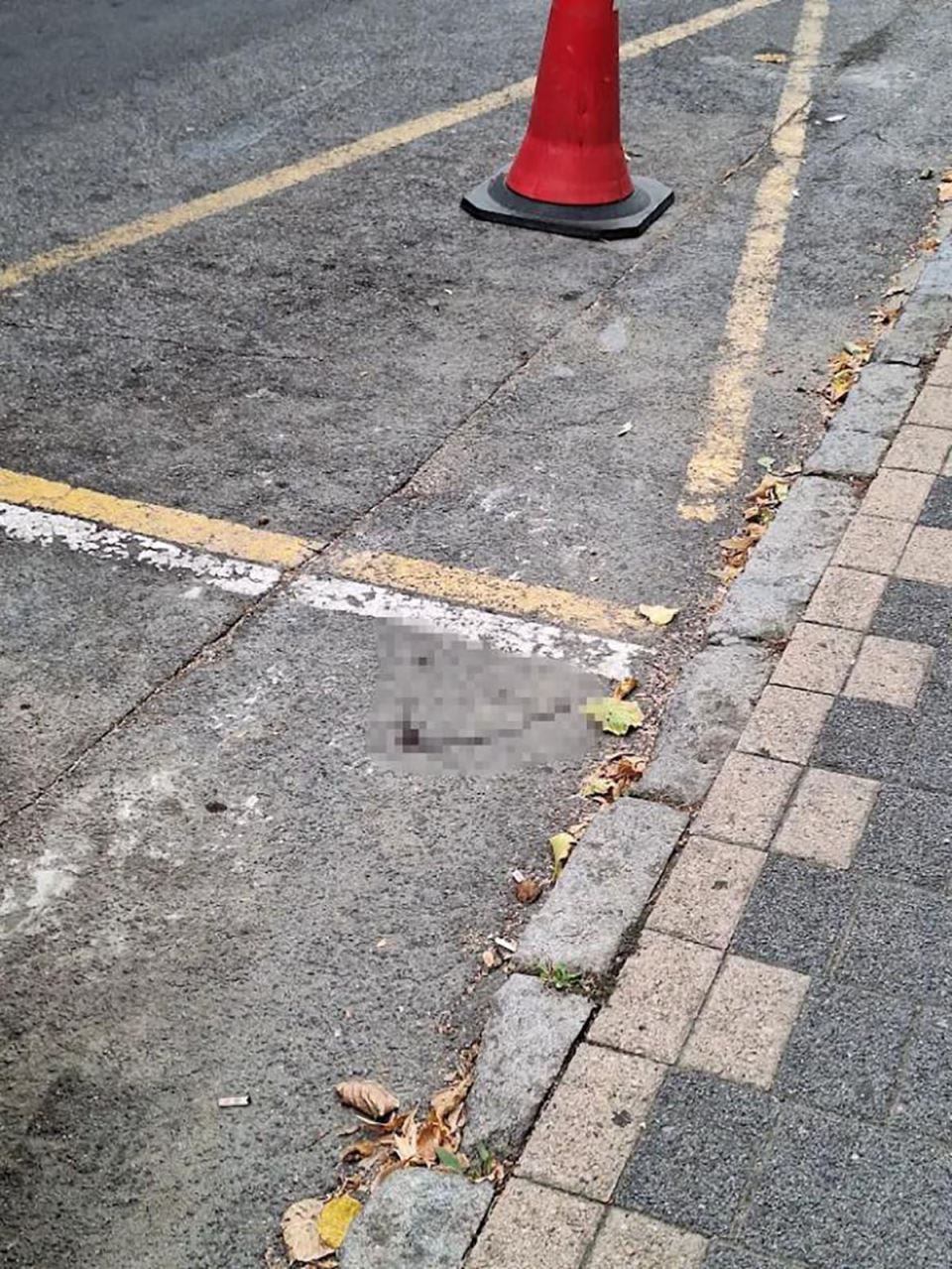 Ubistvo na Vračaru (1).jpg