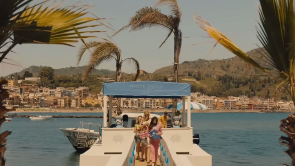 Beli lotus The white lotus