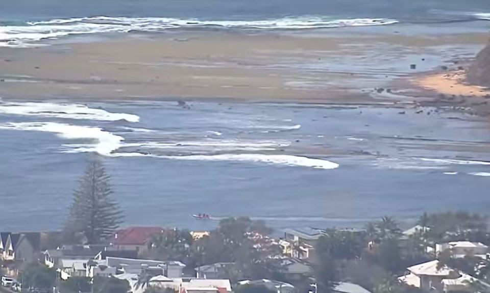 Ajkula u sidneju (1).jpg