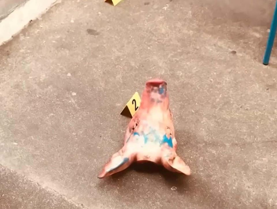 Uhapšen Srbin u Parizu 1.jpg