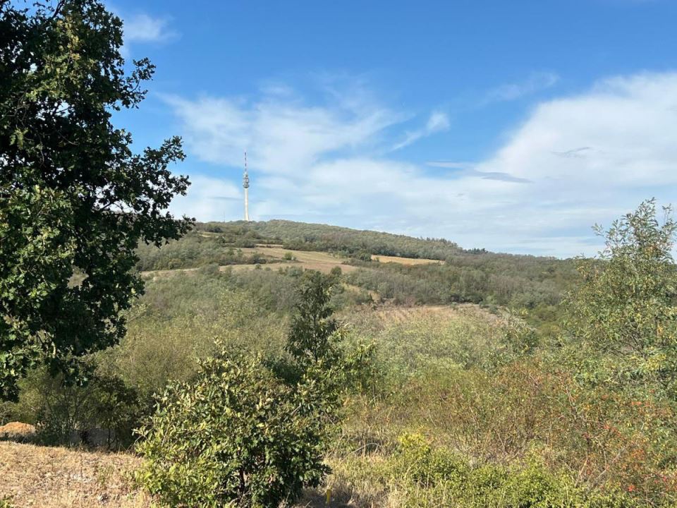 Cecina njiva u selu Zuci (1).jpg