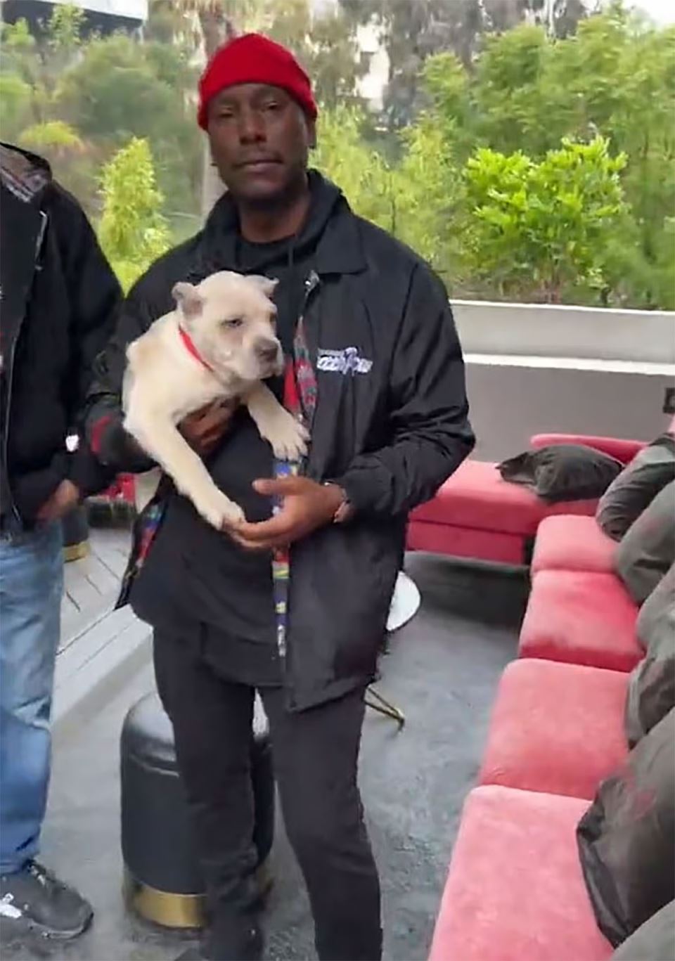 Tajriz Gibson (1).jpg