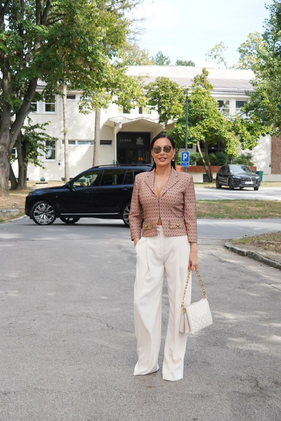 Ceca Ražnatović 3.jpg