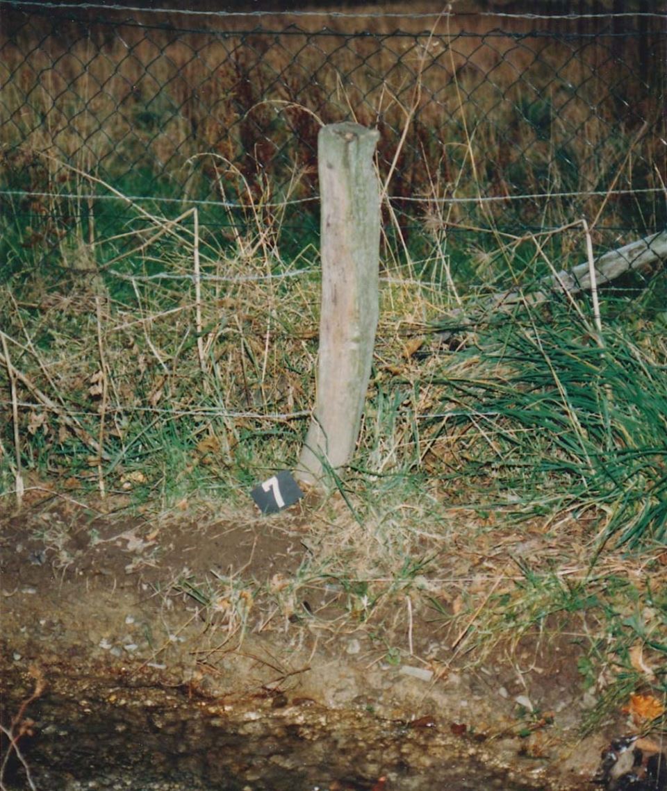 Zejnep Ubijena devojčica 1.jpg