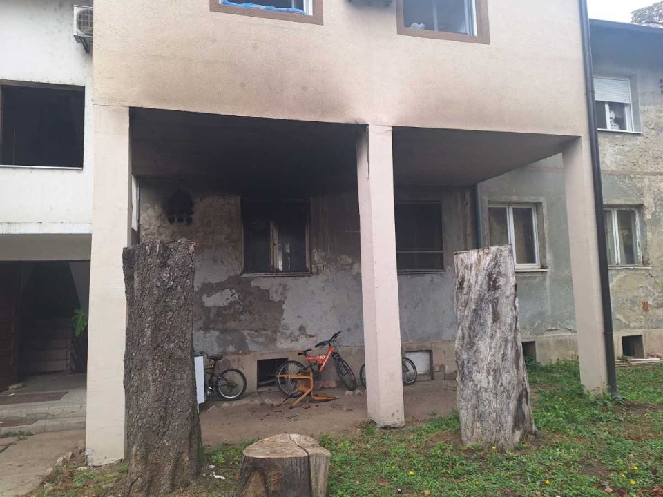 Požar u Batajnici (1).jpg