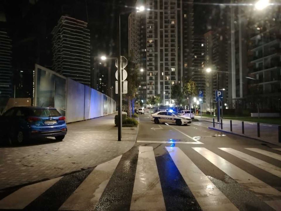 ubistvo na Beogradu na vodi (1).jpg