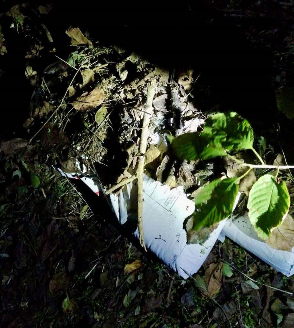 Pokušaj ubistva kod Požarevca 1.jpg