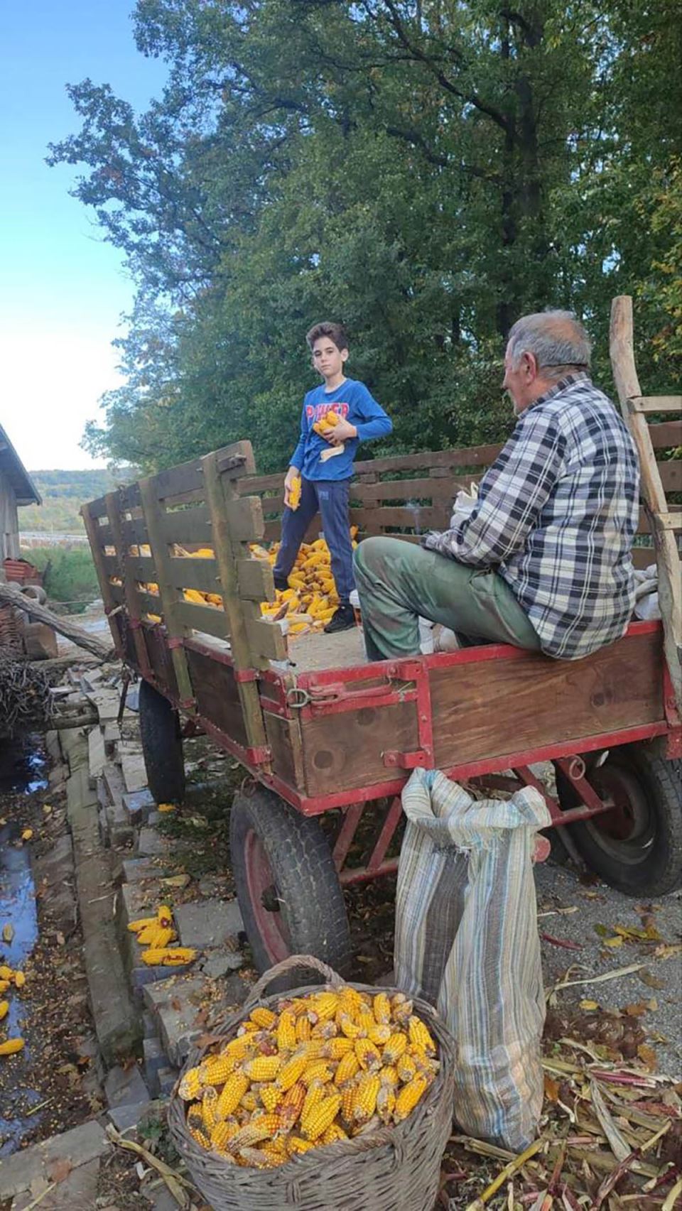 jelena ima farmu koza i pravi sir i mleko (2).jpg