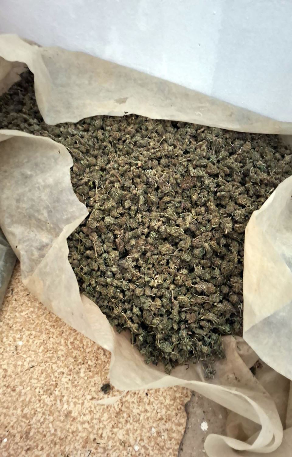 Zaplena marihuane (1).jpg