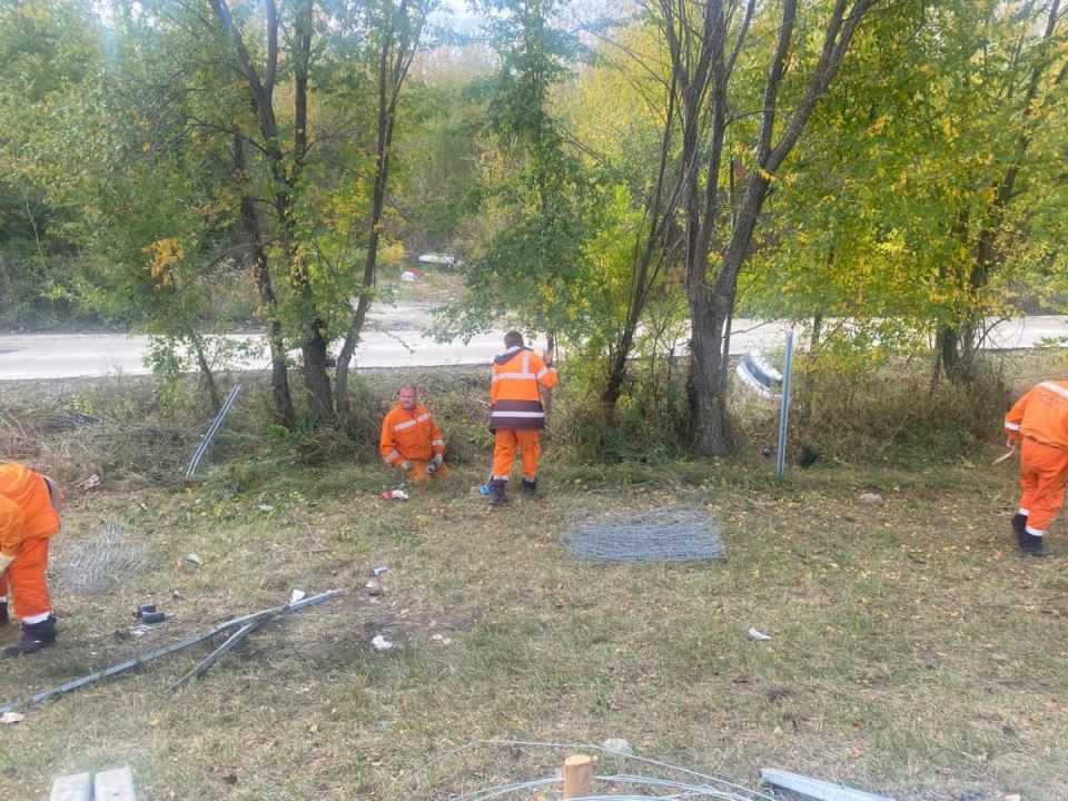 Scene nakon udesa kod Novog Sada (1).jpg