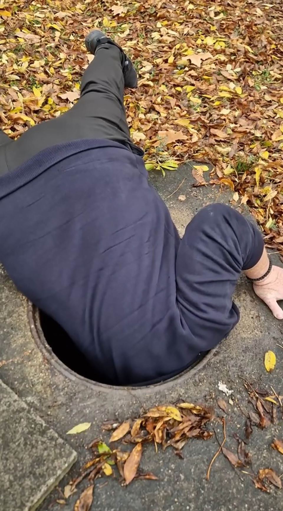 Zmijolovac Vladica Stanković vadi zmiju iz šahta u Vranju