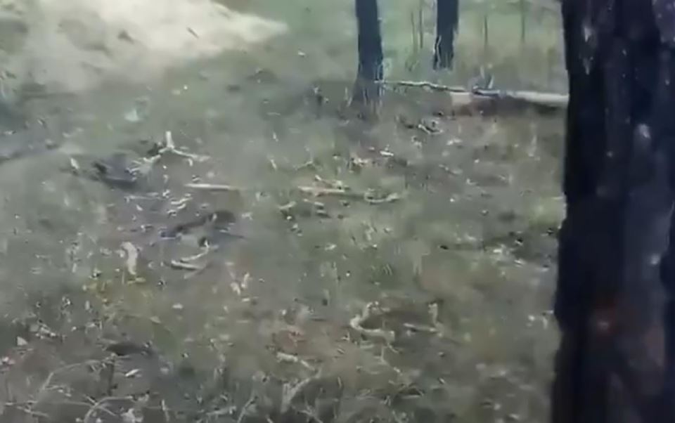 Američki vojnik u ratu u Ukrajini (1).jpg