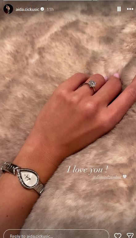 damir džumhur i aida