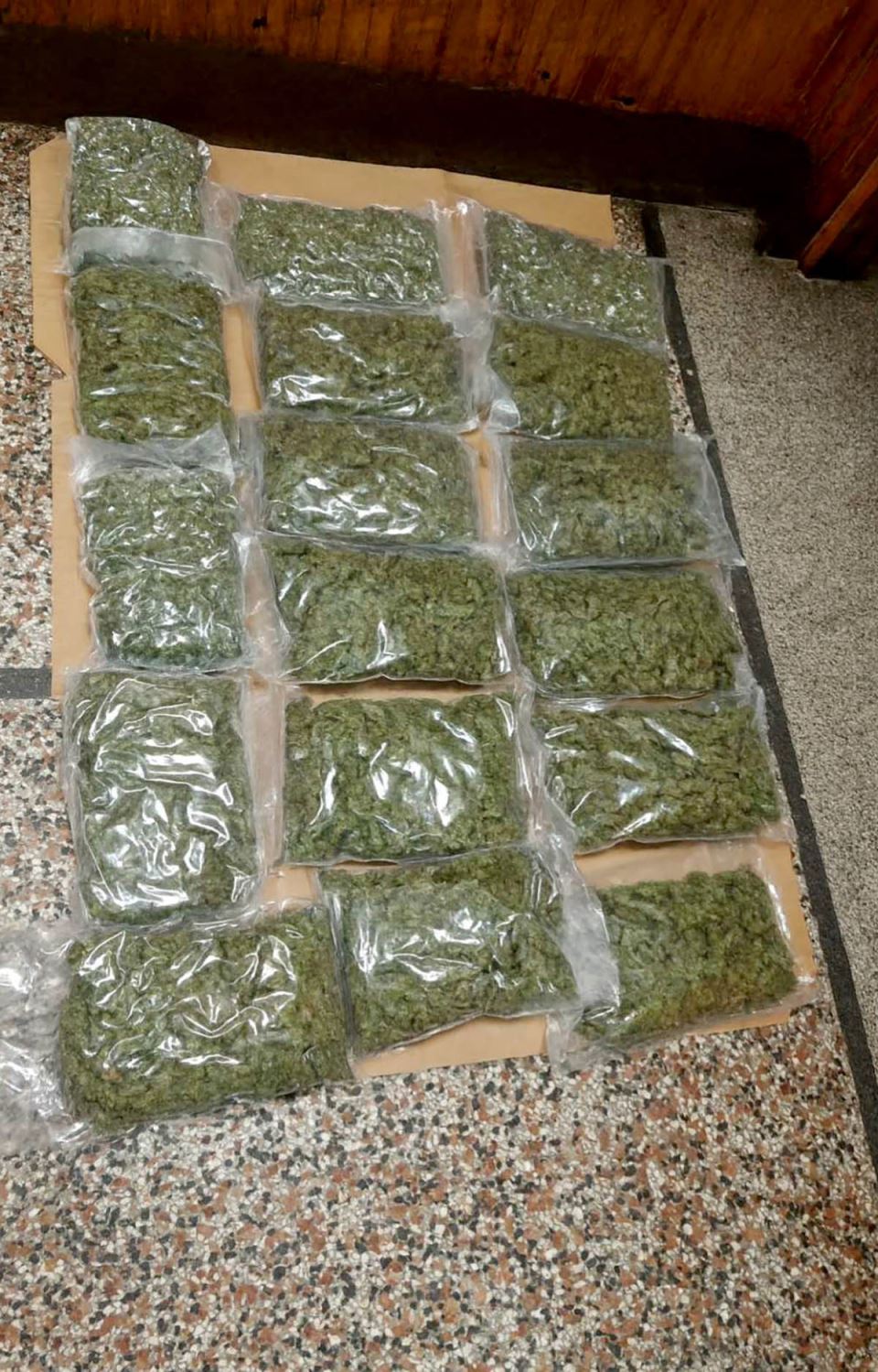 zaplena marihuane (1).jpg