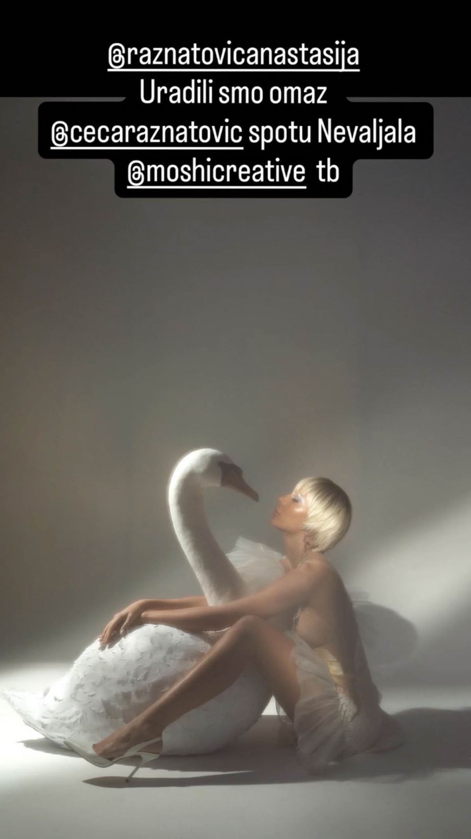 Anastasija Ražnatović kao Ceca Nevaljala (1).jpg