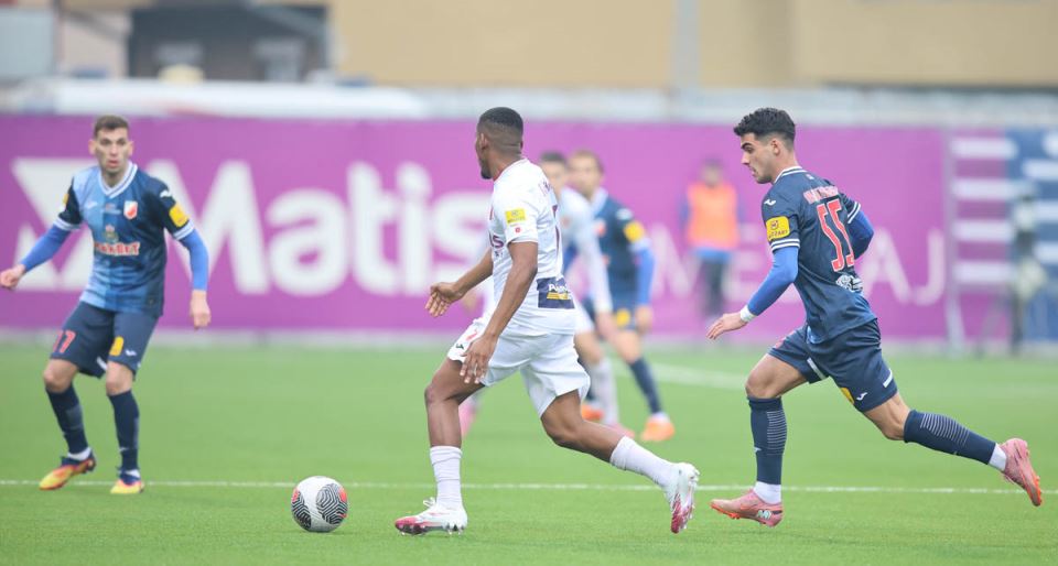 Javor - Vojvodina (1).jpg