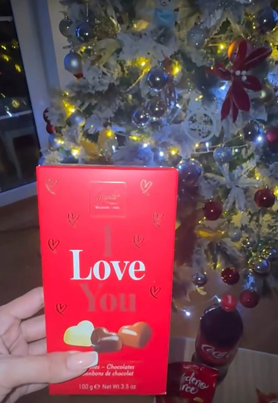 Tanja Savić okitila dom za praznike (1).jpg