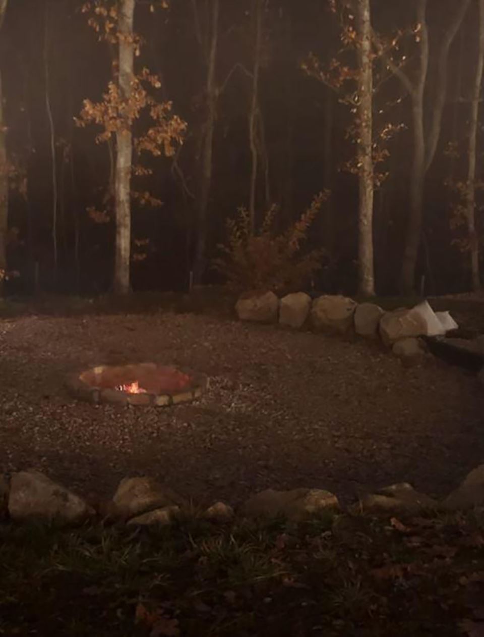 Elena Karaman Karić (1).jpg