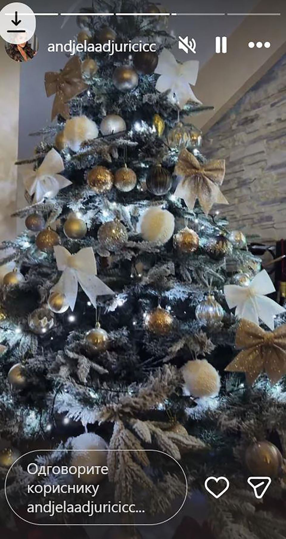 Stan Anđele i Gastoza (1).jpg