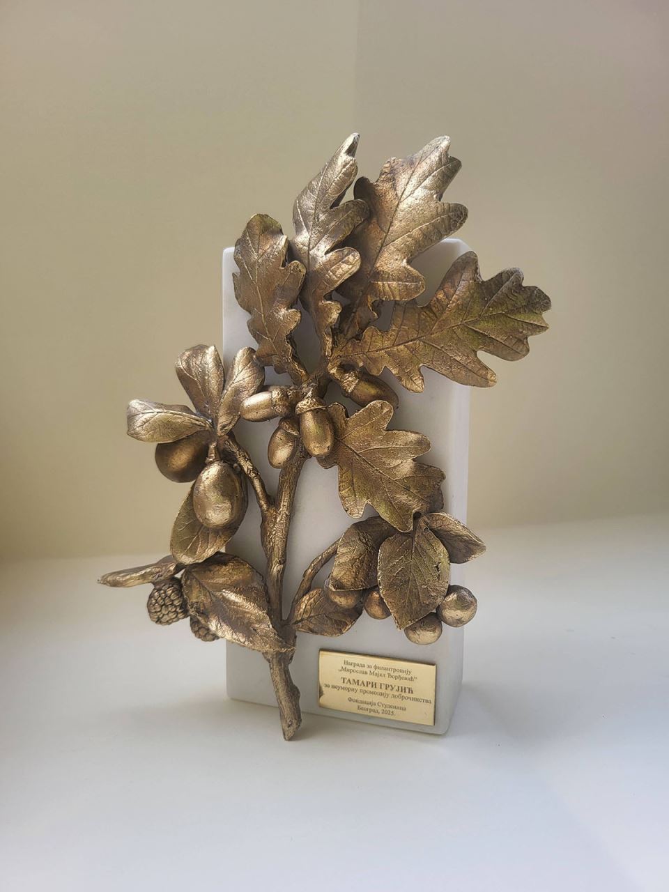 1 Nagrada za filantropiju 2025 umetnik Bogdan Djukanovic copy.jpg