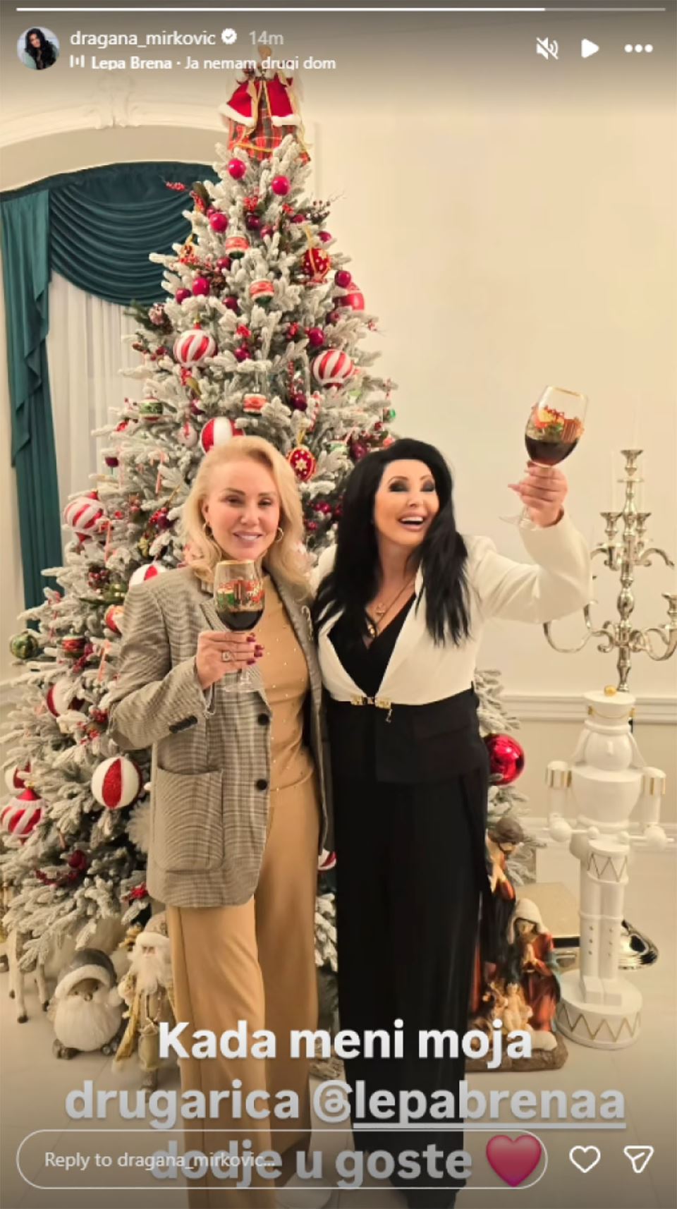 Lepa Brena Dragana Mirković u dvorcu (1).jpg