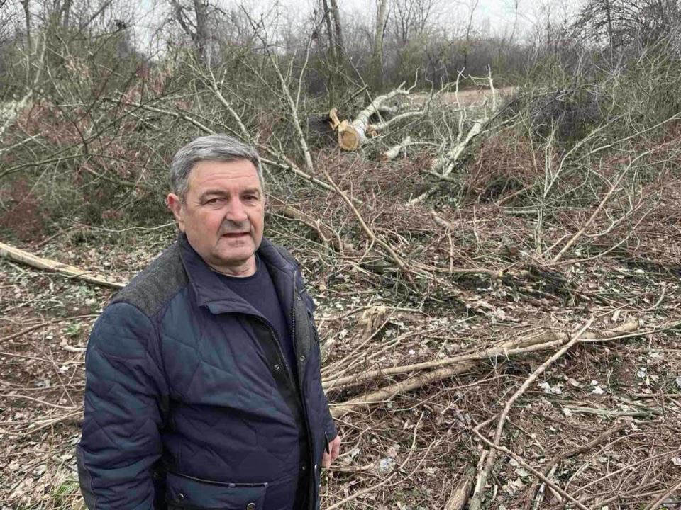 Glumcu iz serije Selo gori, a baba se češlja lopovi posekli šumu (1).jpg