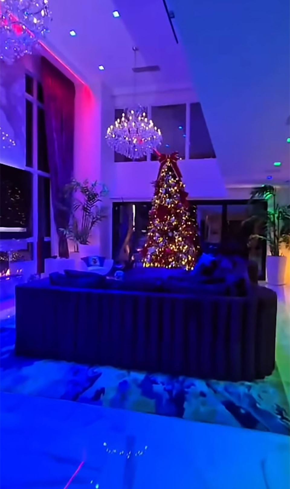 Koko Ostin nova kuća (1).jpg